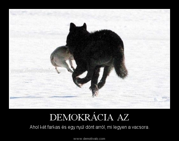 demokracia-2farkas-1nyul