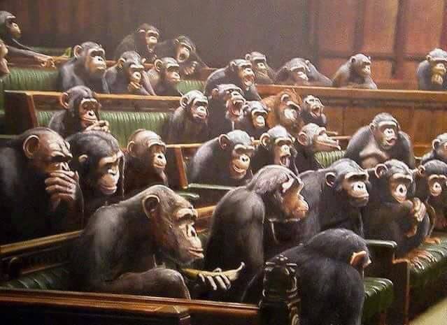 parlament-tele-majmokkal